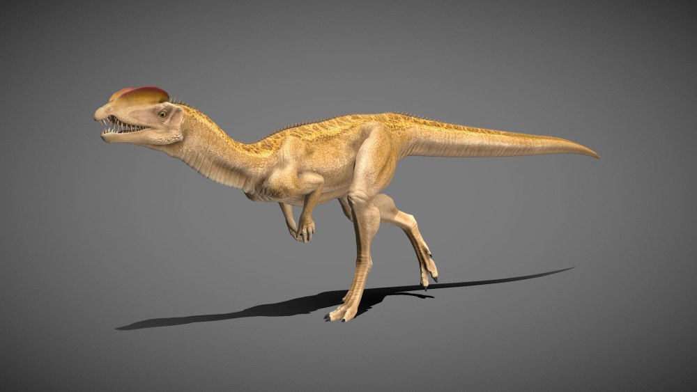 Dilophosaurus wetherilli