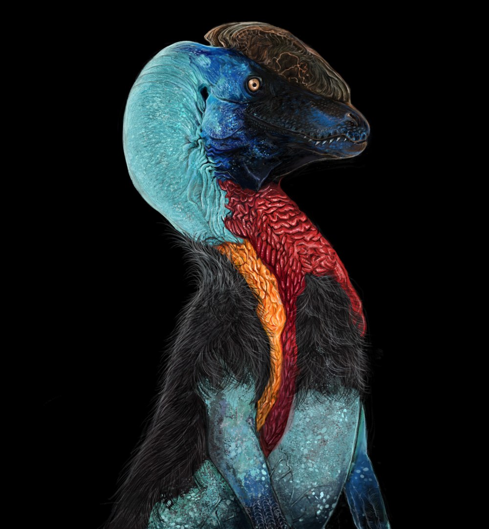 Dilophosaurus wetherilli