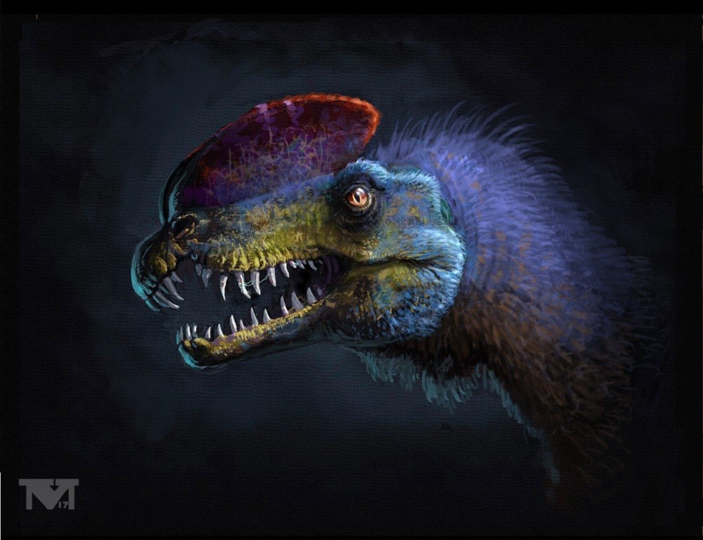 Dilophosaurus wetherilli