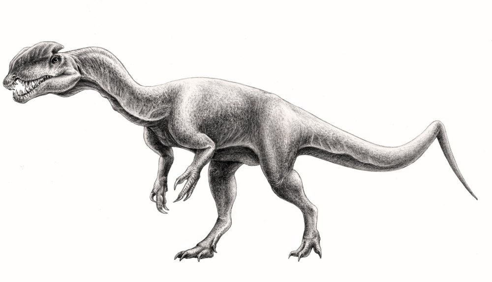Dilophosaurus wetherilli