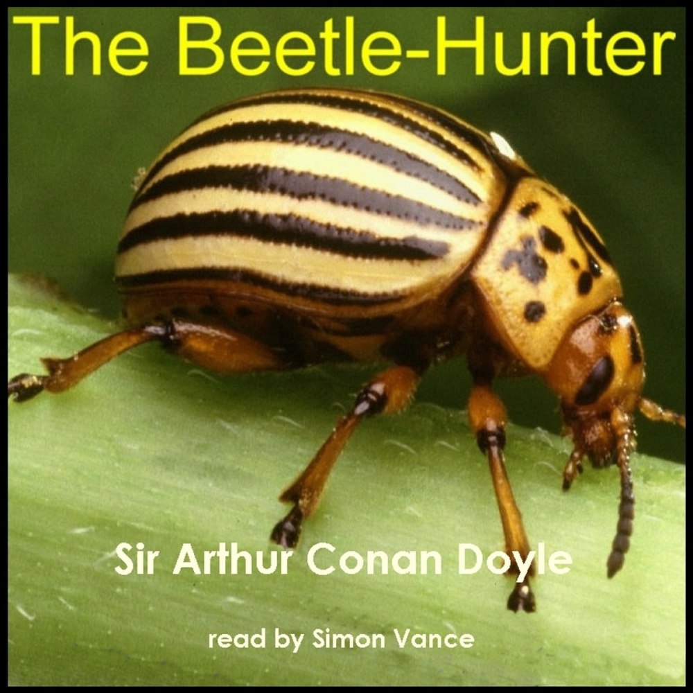 Taiyo Beetle Hunter