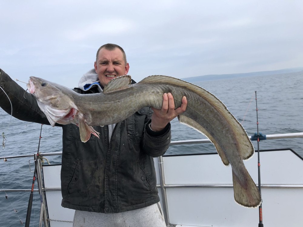 Конгер рыба