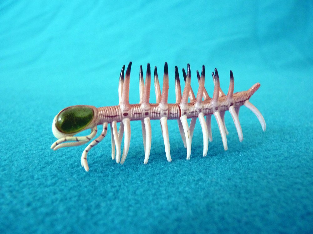 Галлюцигения (Hallucigenia)
