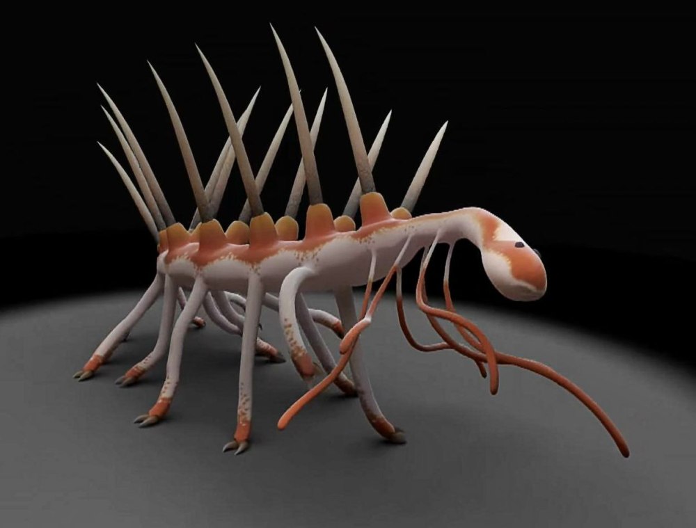 Галлюцигения (Hallucigenia)