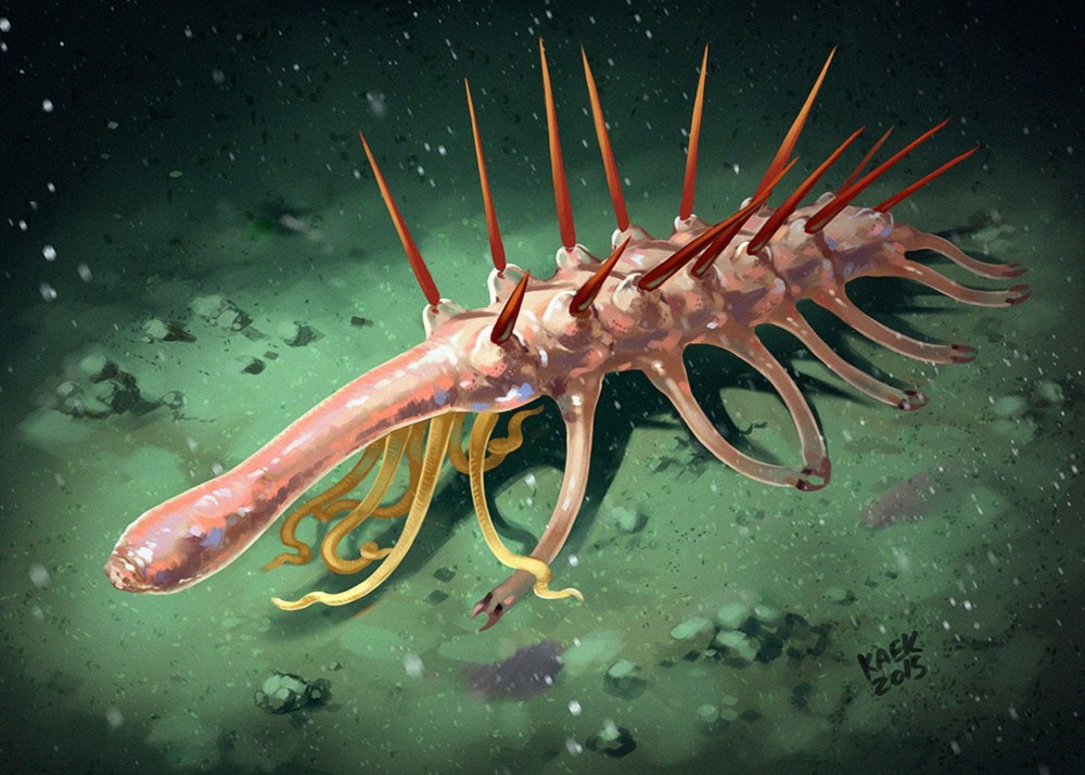 Галлюцигения (Hallucigenia)