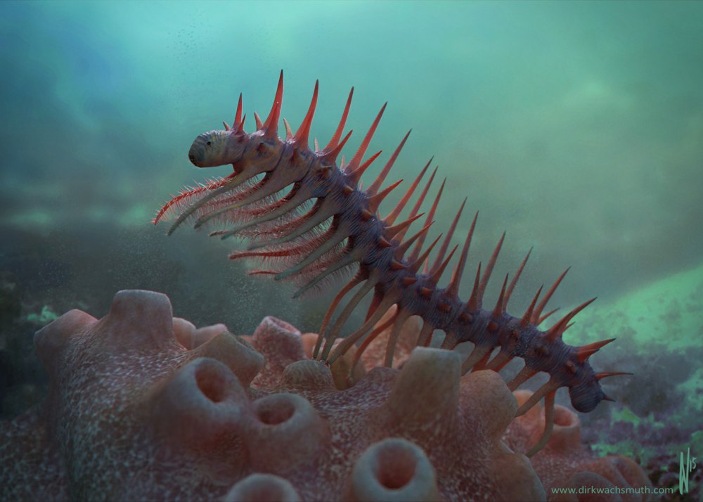 Галлюцигения (Hallucigenia)