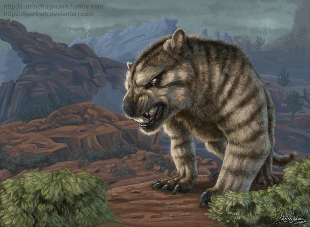 Thylacoleo АРК