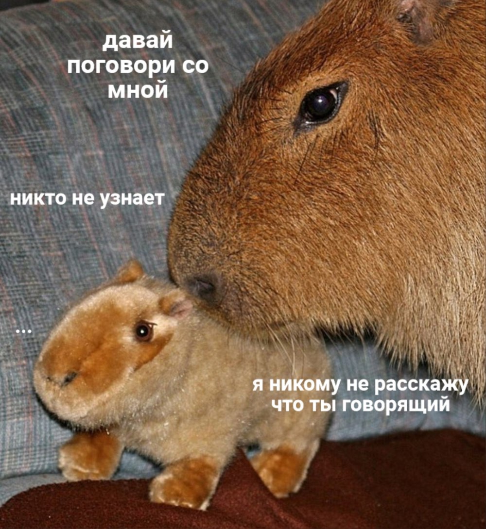 Большая морская Свинка капибара