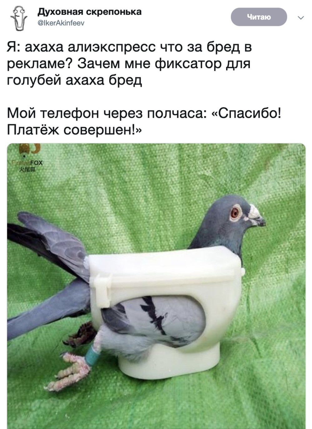 Держатель для голубей АЛИЭКСПРЕСС