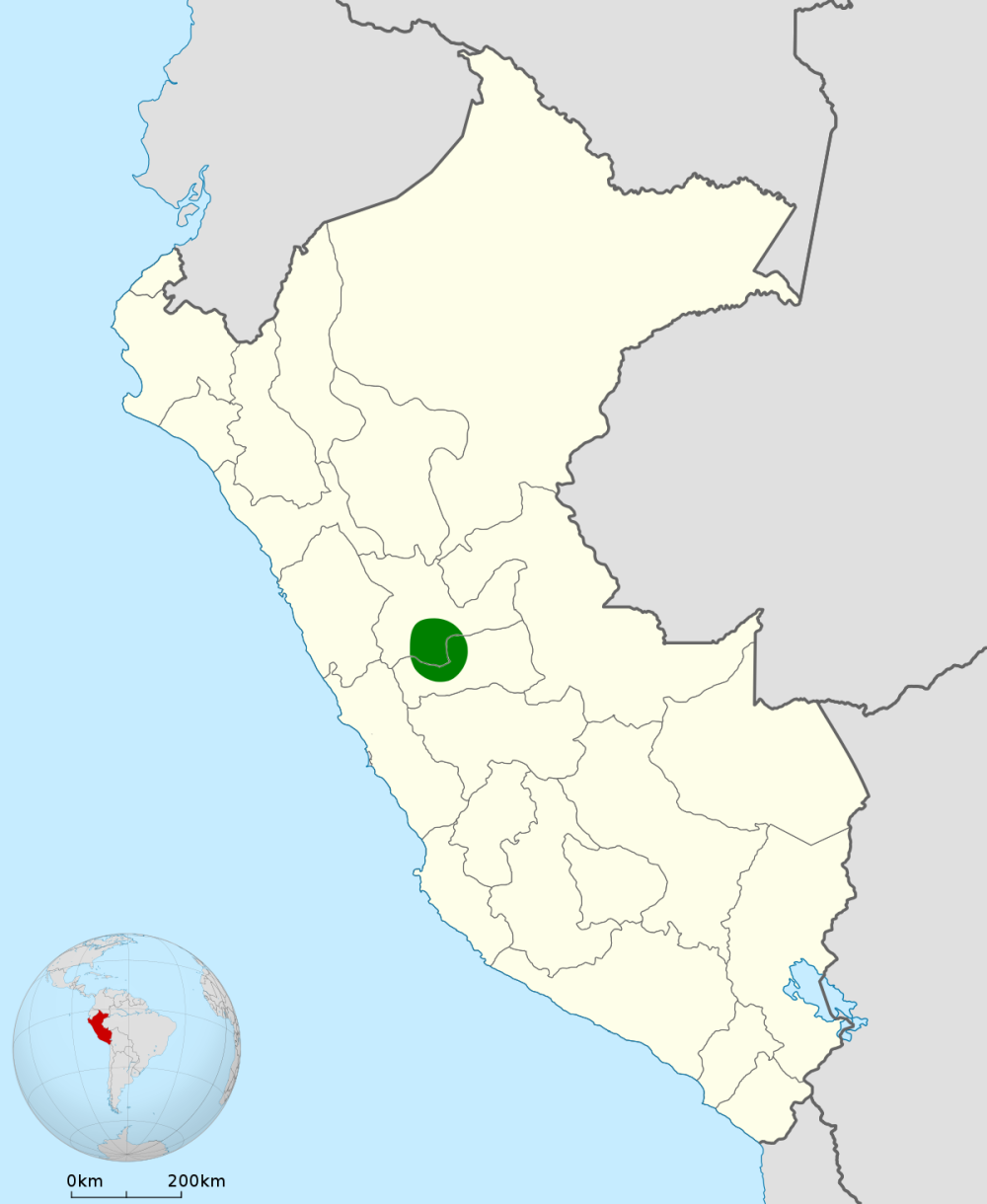 Панао