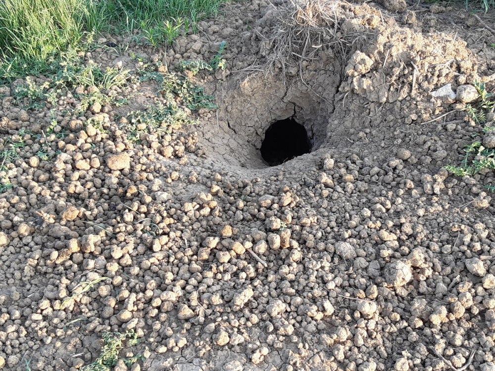 Запасные Норы