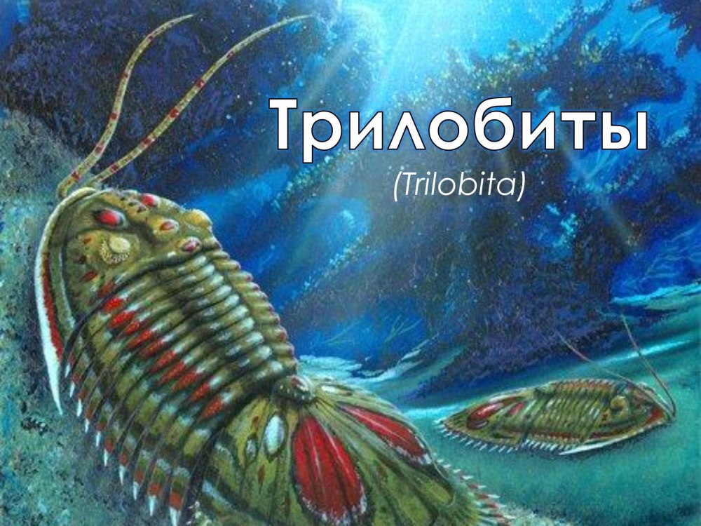 Палеозойская Эра трилобиты