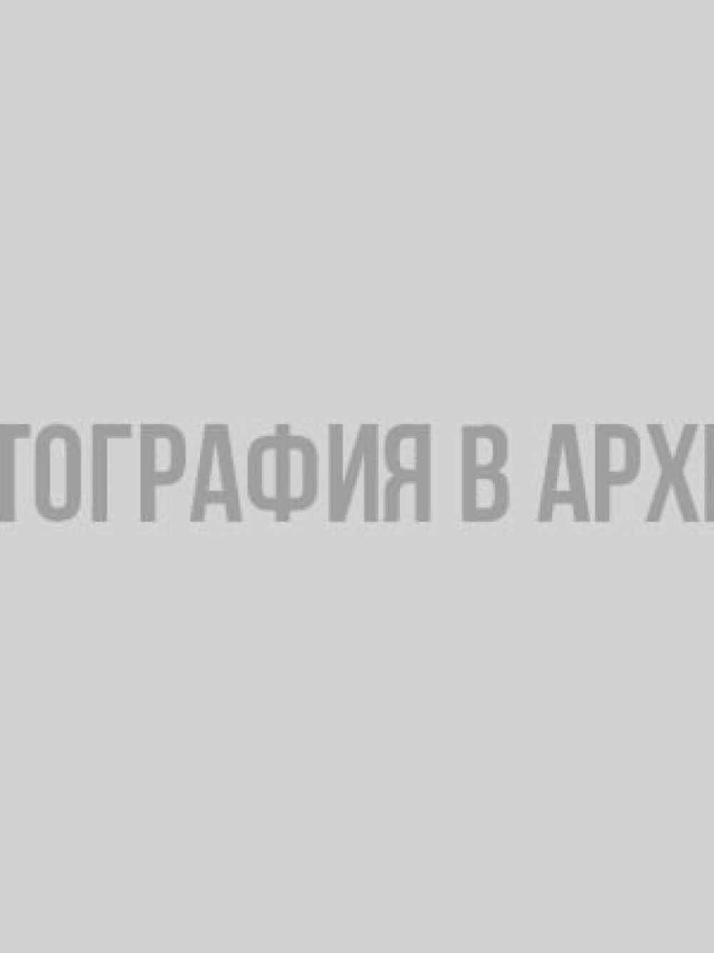 Грибы России