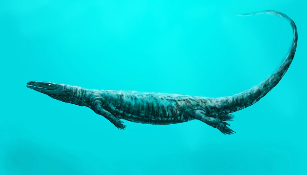 Мозазавр (Mosasaurus)