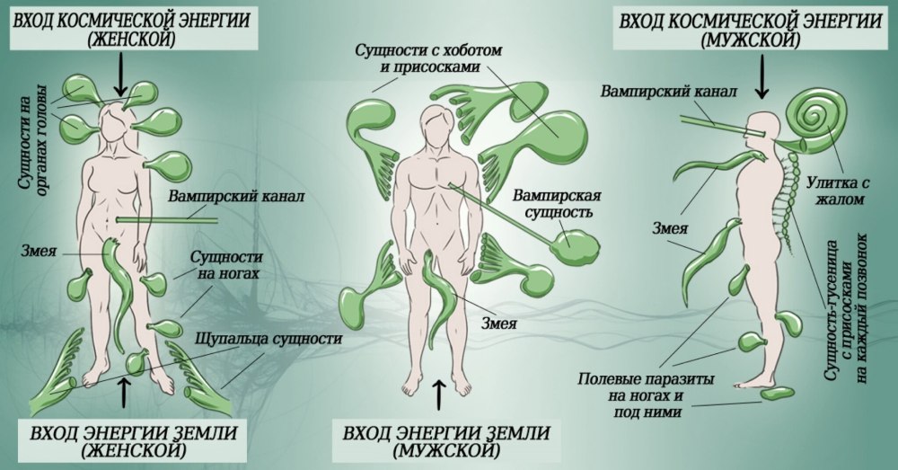 Энергетические паразиты. Сущности