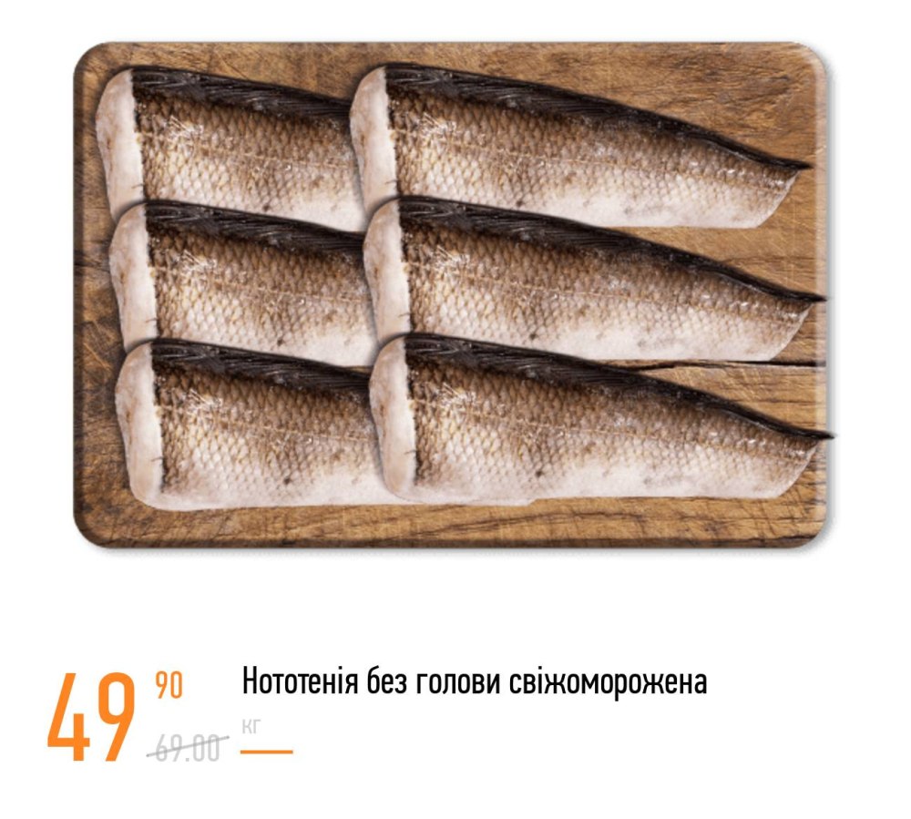 Нототения рыба