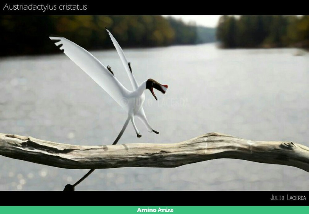 Austriadactylus cristatus Art