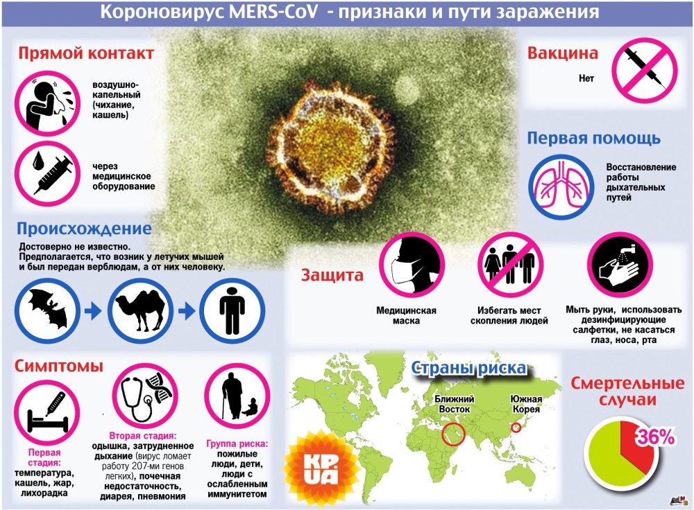Памятка вирусы