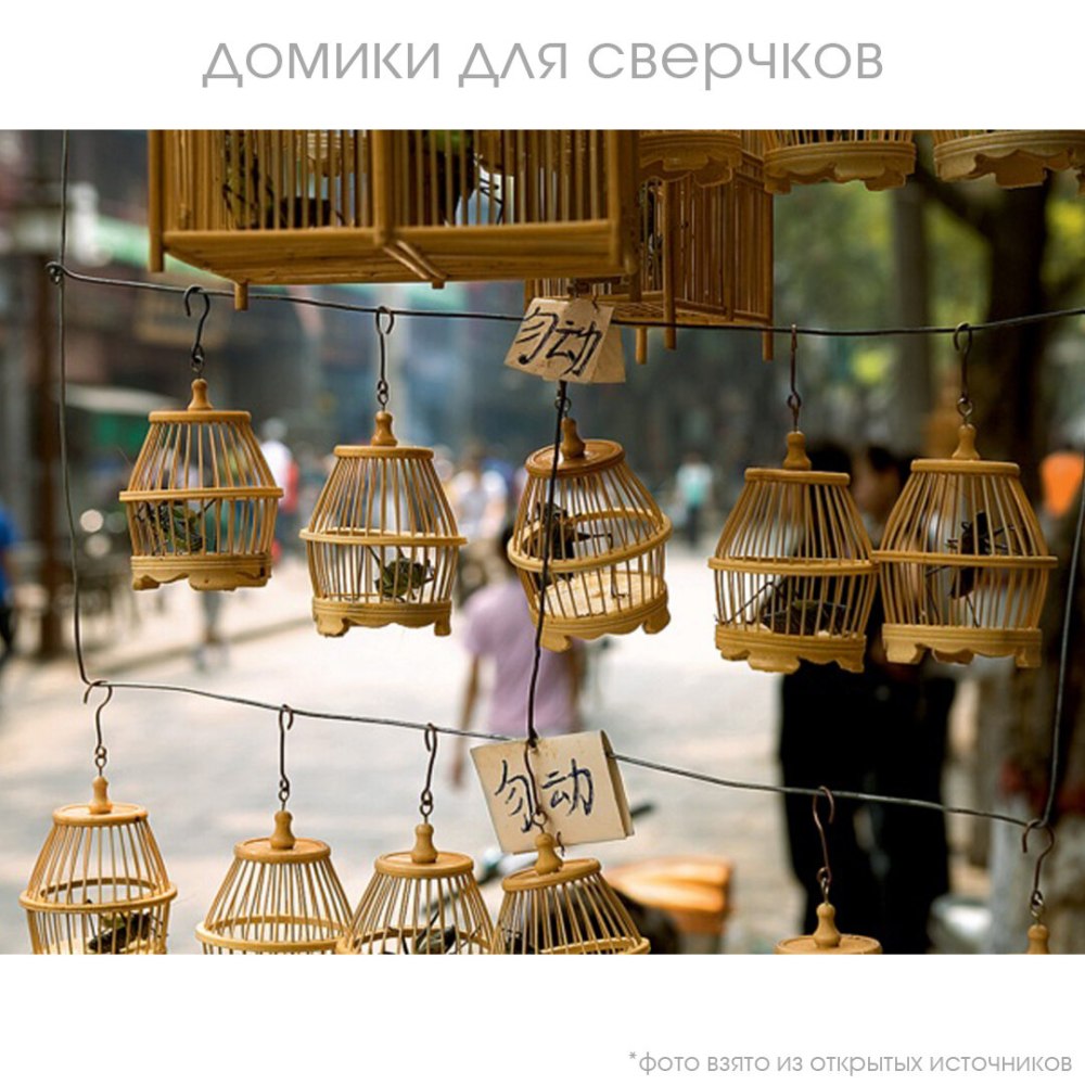 Клетка для сверчка