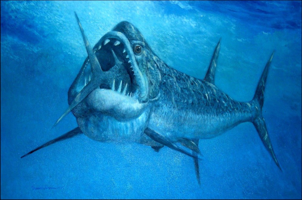 Xiphactinus Audax