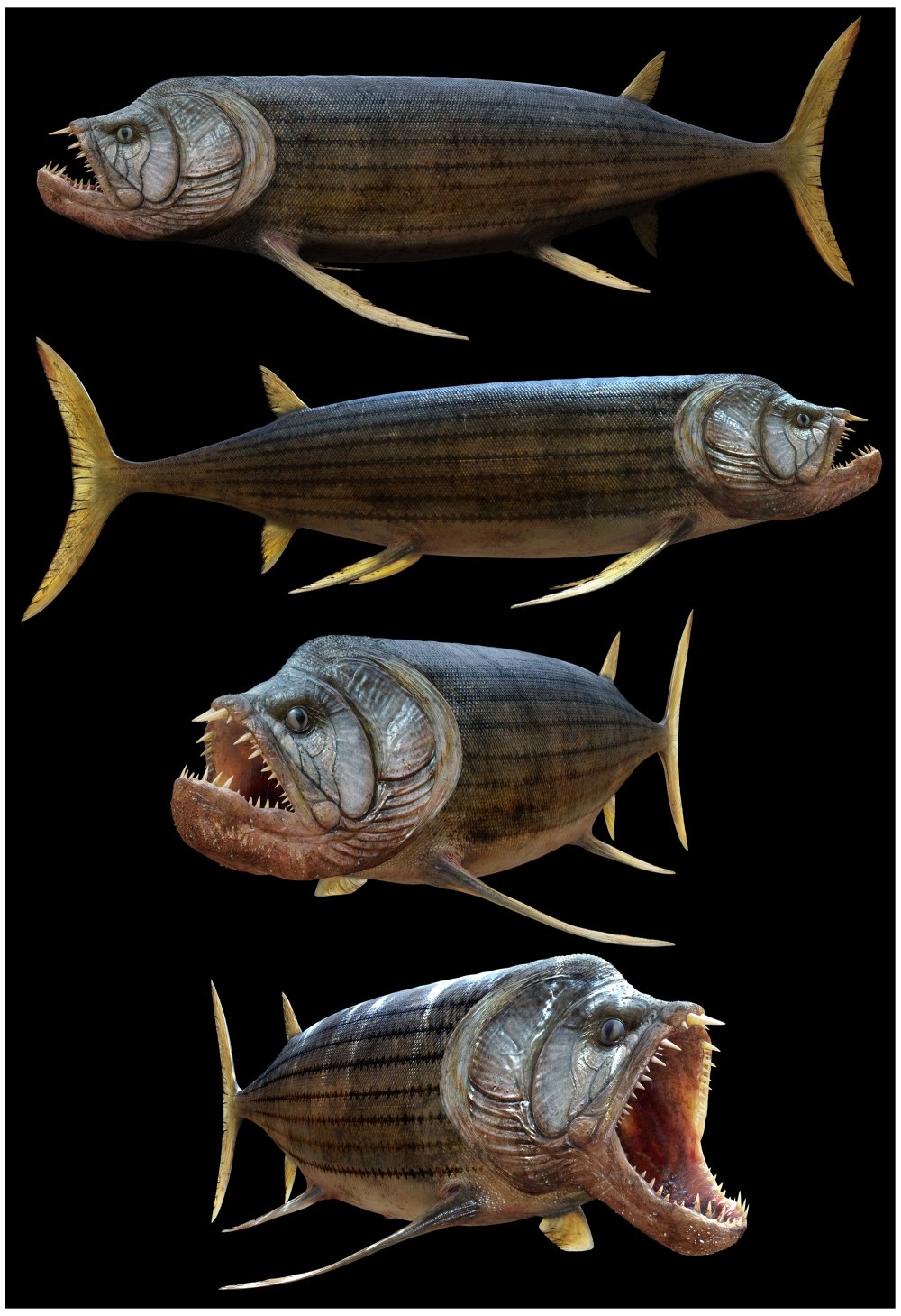 Рыба Xiphactinus