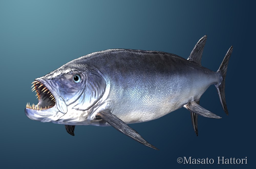 Xiphactinus Audax