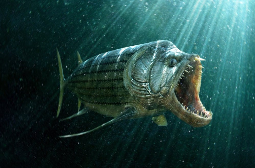 Xiphactinus Audax