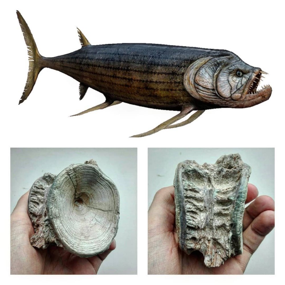 Рыба Xiphactinus