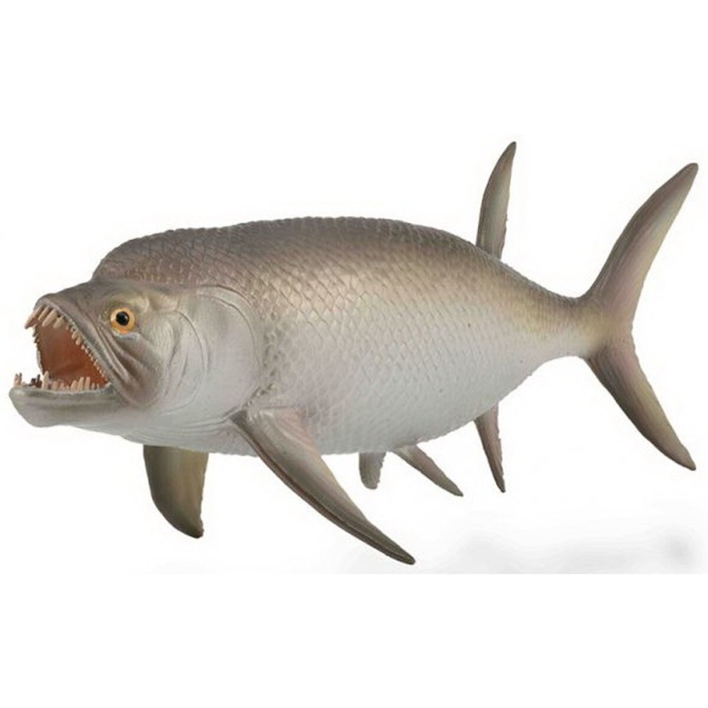 Xiphactinus Collecta