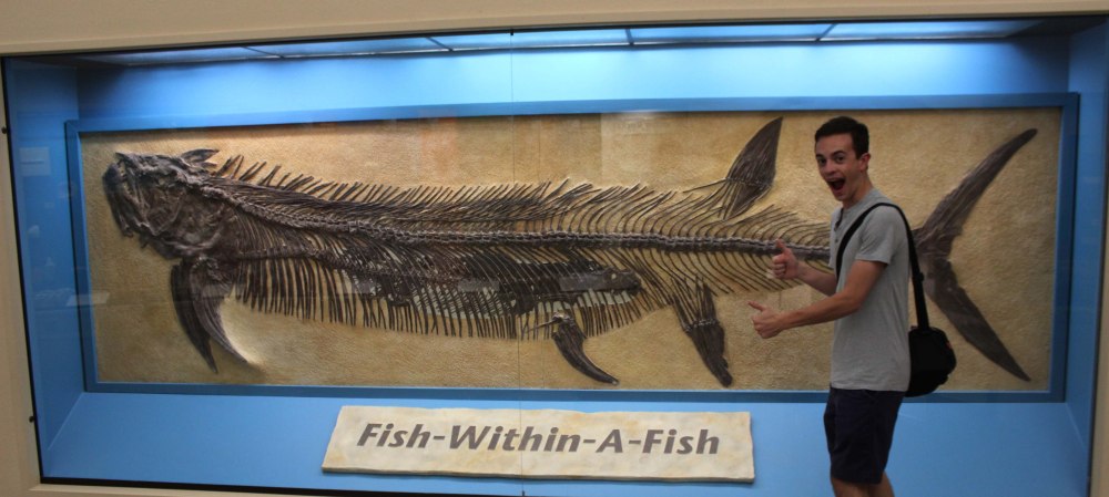 Fish in Fish музей естественной истории Штернберга