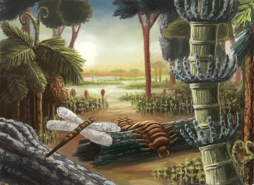 Kiabugboy Carboniferous