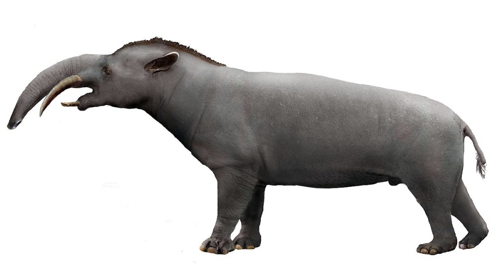 Granastrapotherium snorki