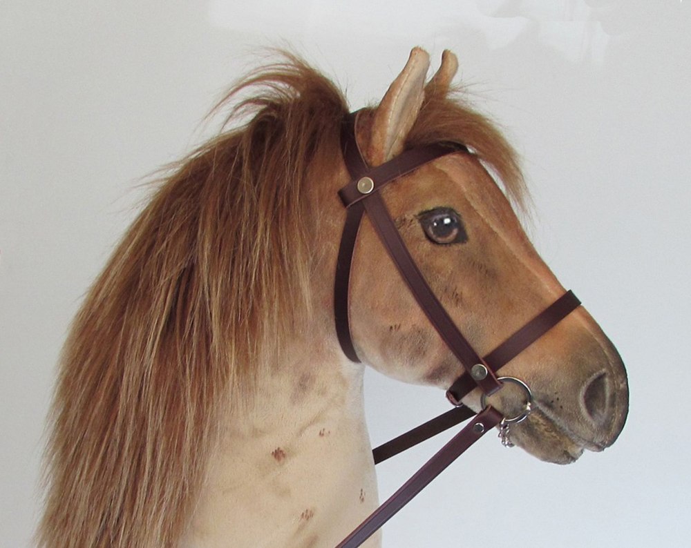 Shaggy Horse