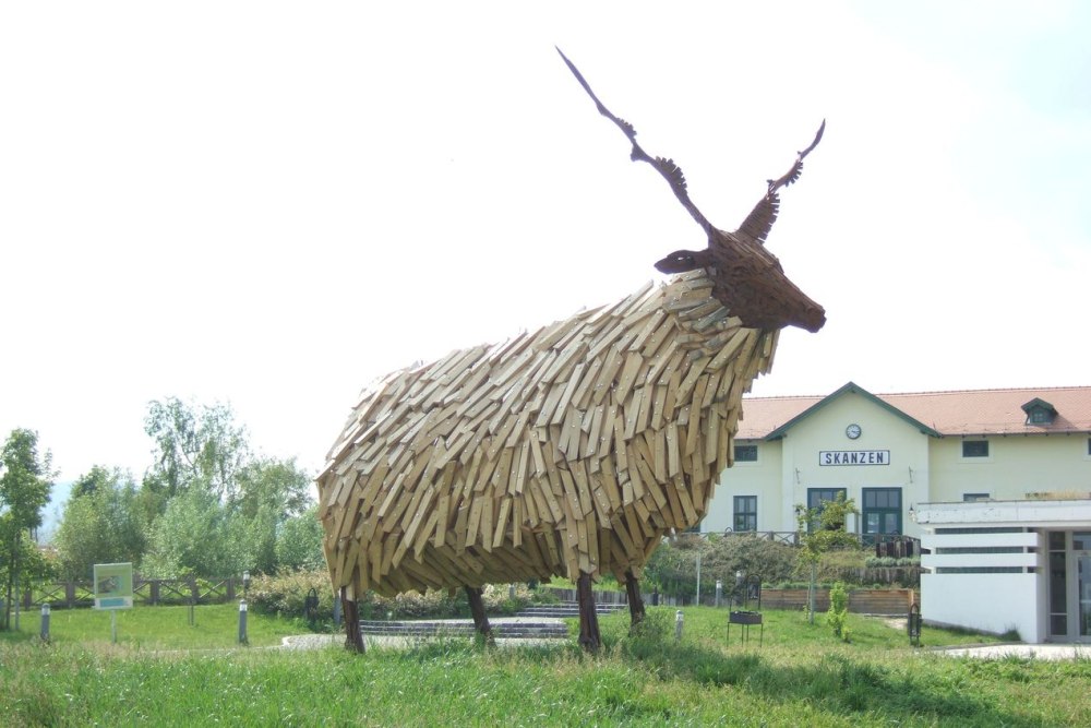 Рацка порода овец