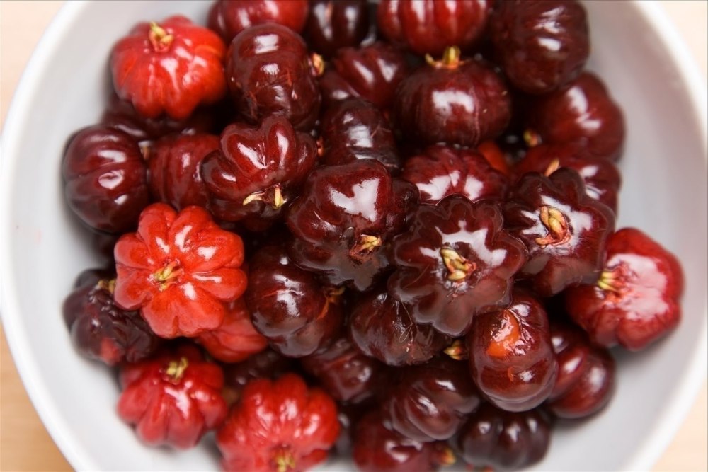 Eugenia uniflora (Black Star)