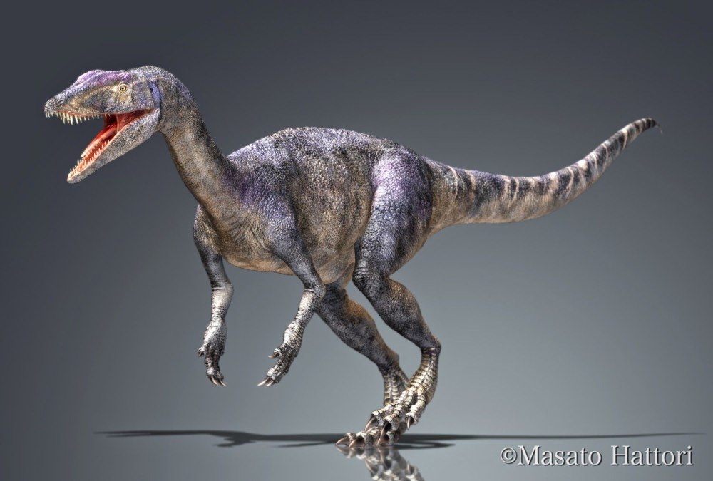 Годжиразавр Gojirasaurus Rex