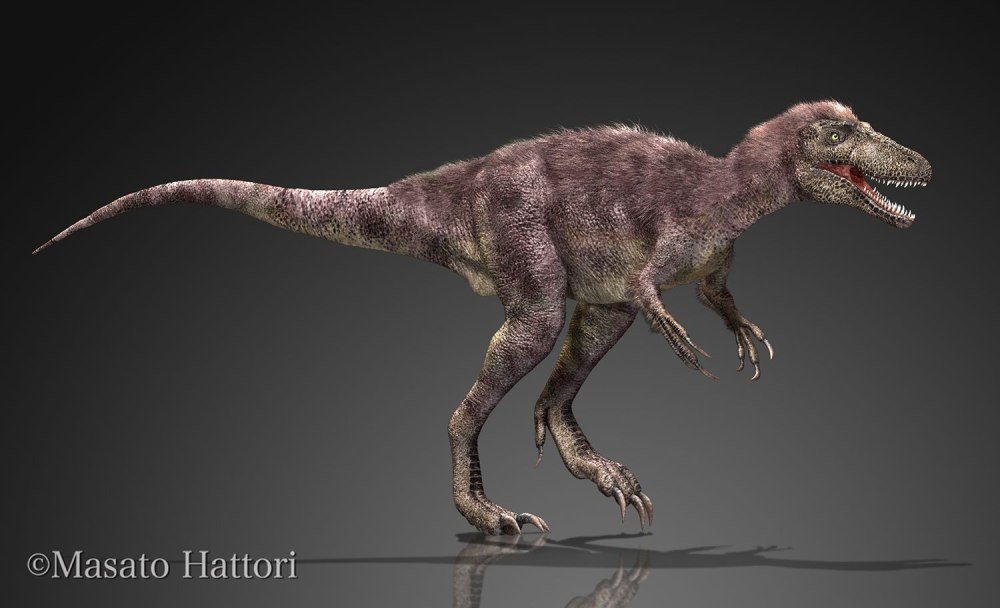 Каентавенатор. Kayentavenator elysiae.