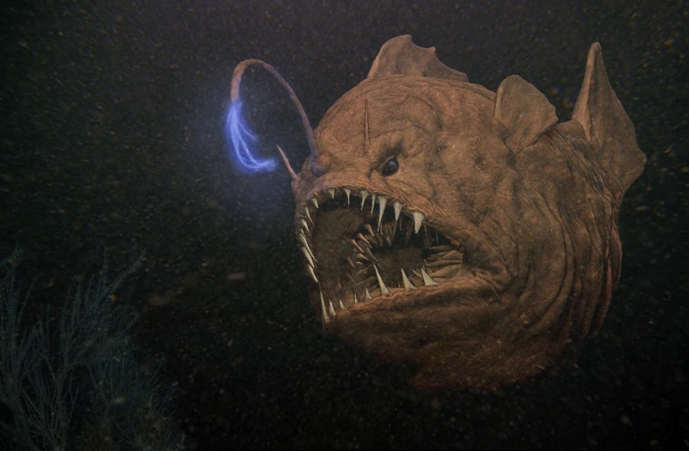 Морской черт (Lophius piscatorius)