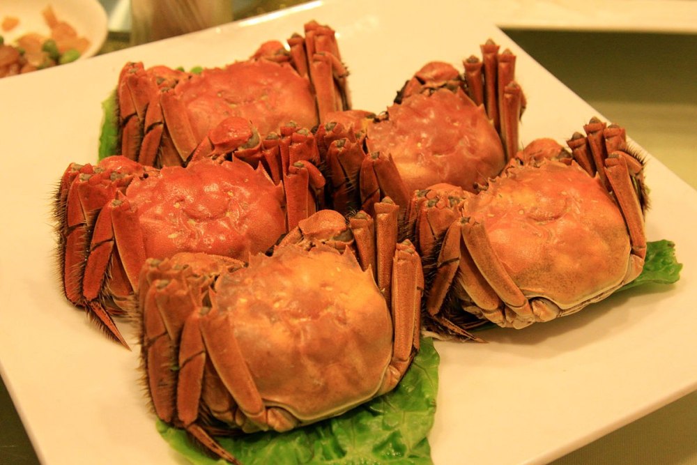 Шанхайский мохнатый краб