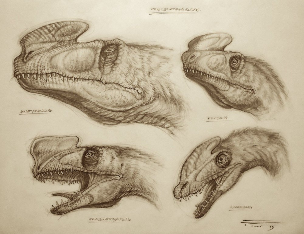 Proceratosaurus bradleyi