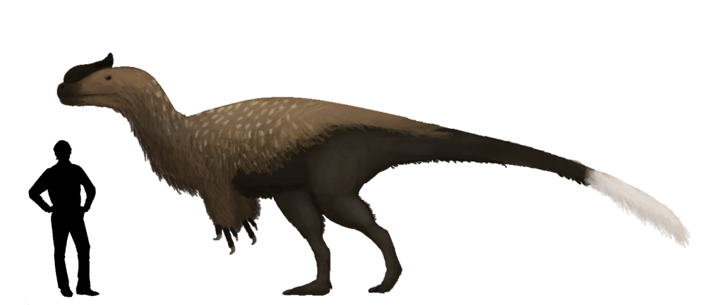 Yutyrannus и человек