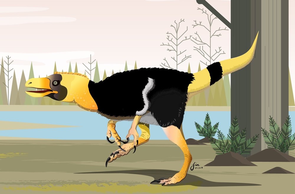 Vayuraptor nongbualamphuensis