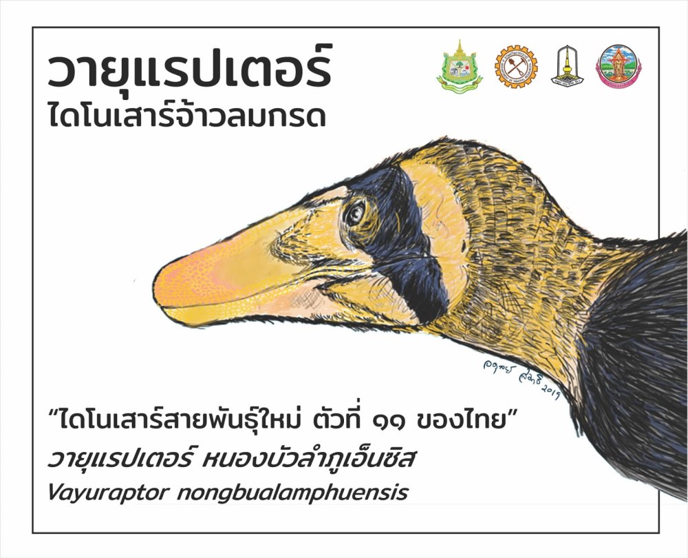 Vayuraptor nongbualamphuensis