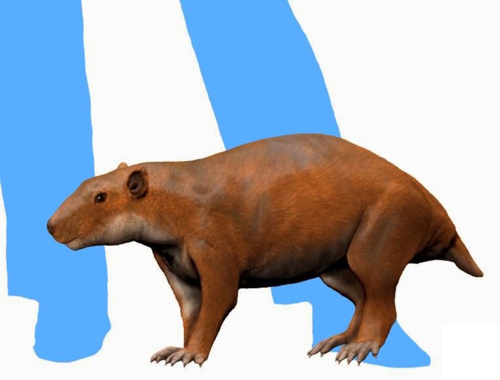 Многобугорчатые млекопитающие