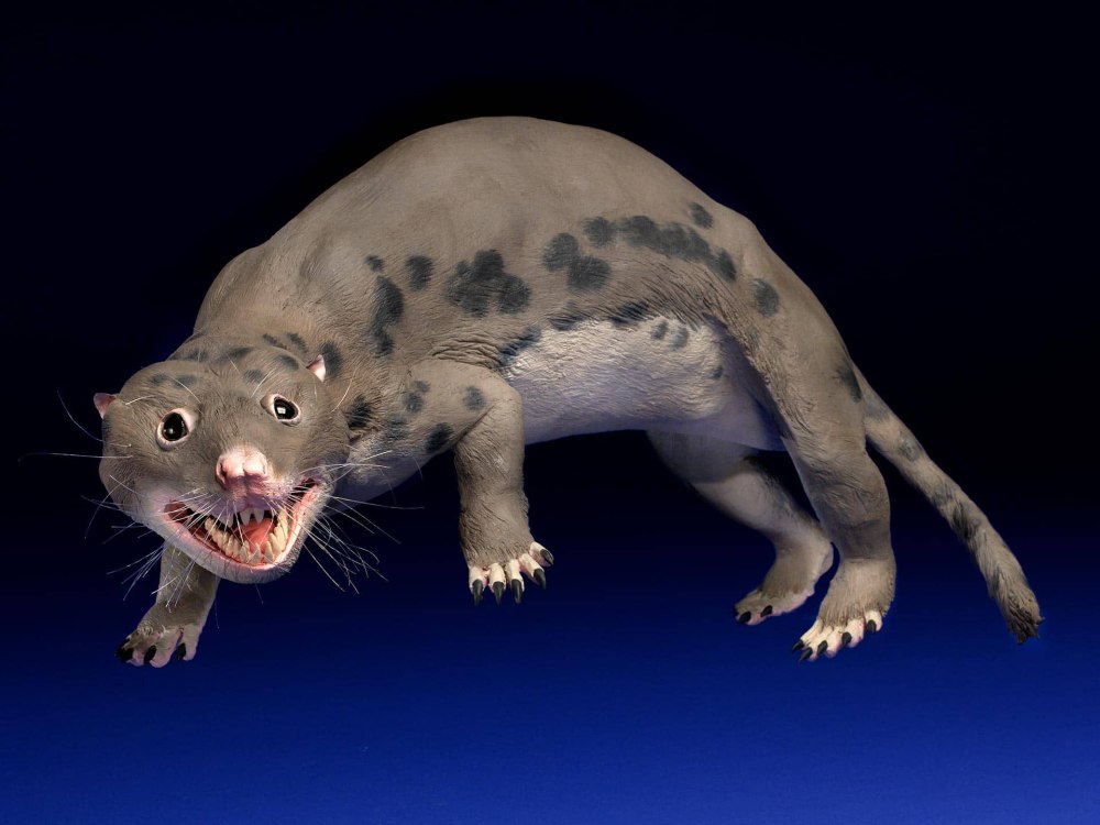 Repenomamus Giganticus