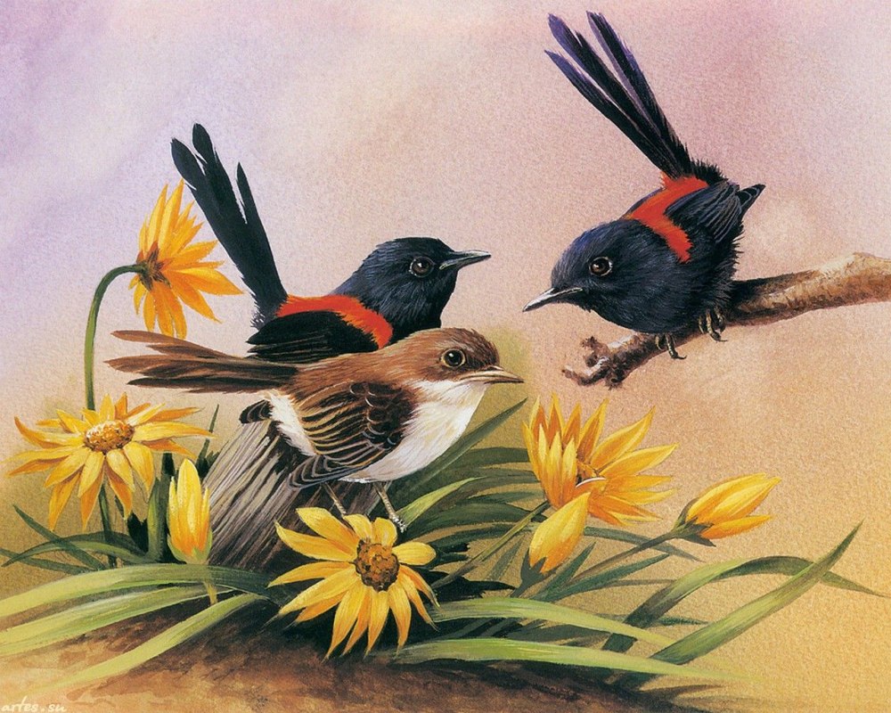Eric Shepherd художник