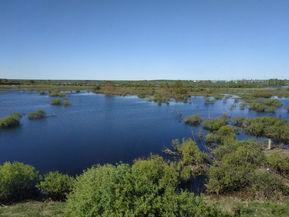 Озеро водокачка Болотное