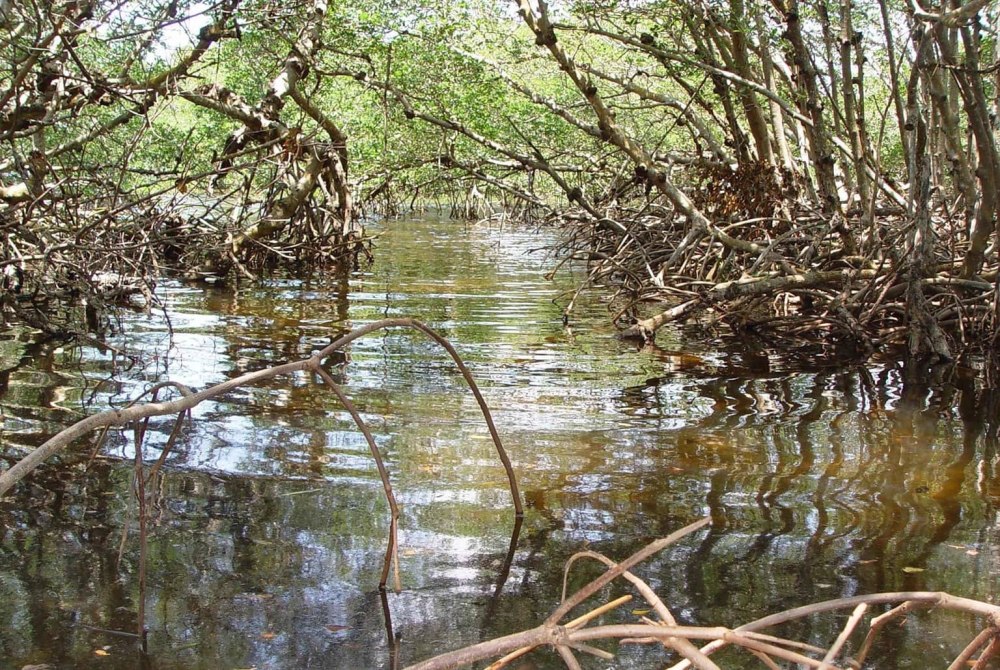 Заповедная пустынь вода