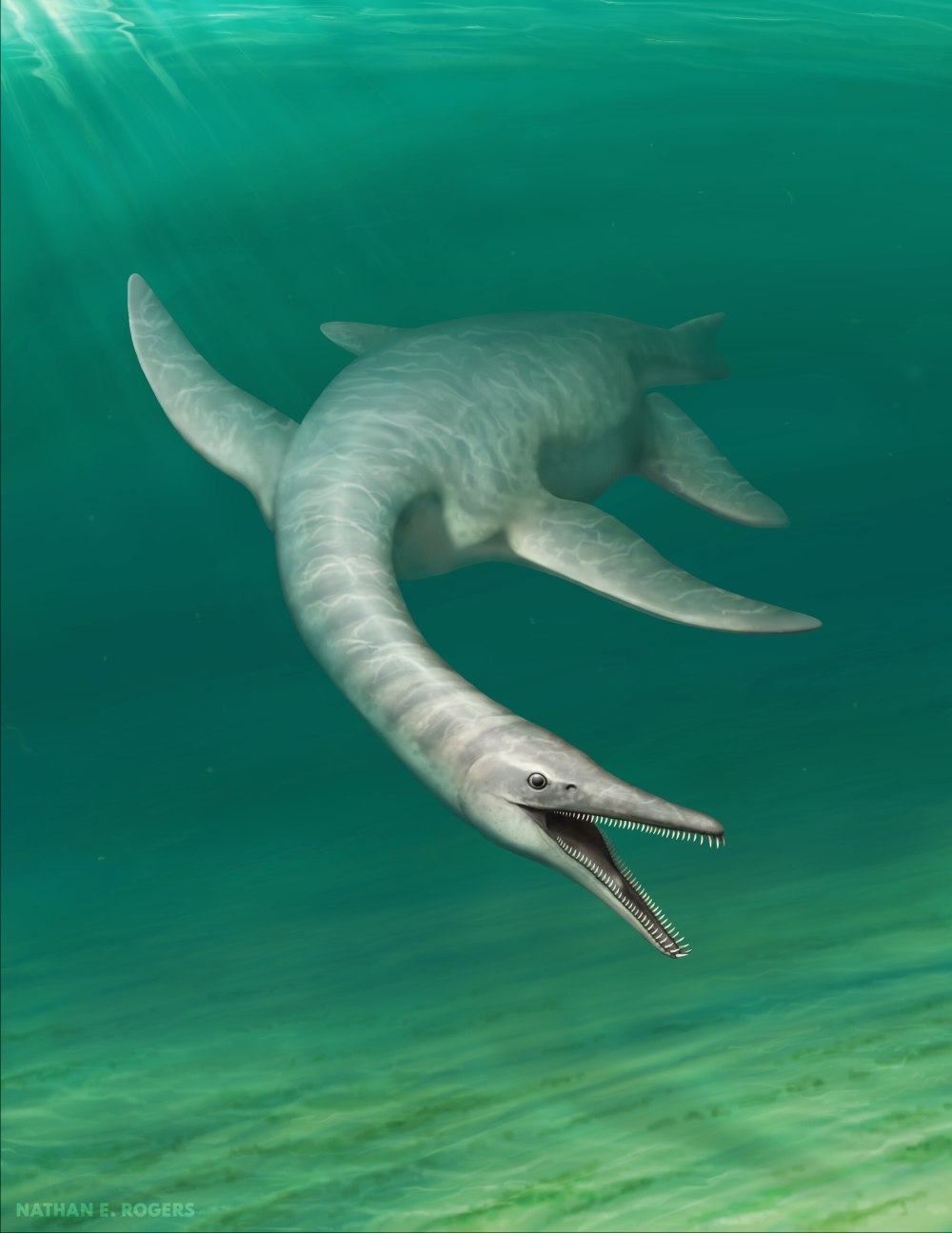 Paleoart 2022