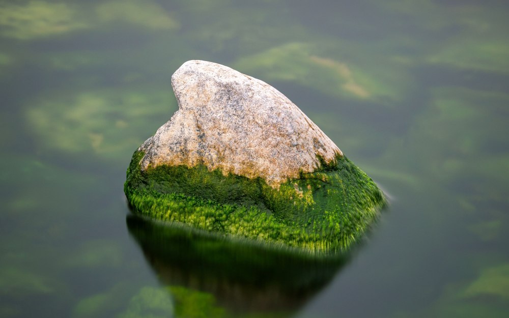 Водяной камень
